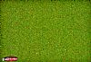 Noch Flowered Grass Mat (00270)