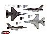 F-16 C/D NIGHT FALCON (188)