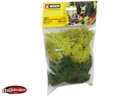Decormoos Lichen Green Mix (08610)