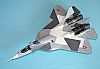 Su-50 Russian Sukhoi fighter (7275)