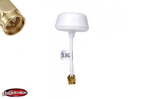 5.8GHz Cloud Polarized Antenna RX-SMA