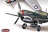 P-40M/N Warhawk, The Fighter (12465)