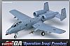 A-10A Operation Iraq Freedom (12402)