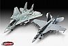 F/A-18E Super Hornet & F-14D Tomcat (05677)