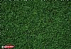 Marsh Green Grass (08320)