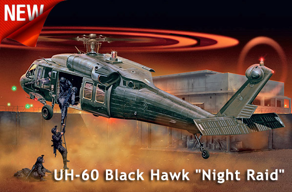 UH-60 Black Hawk Night Raid